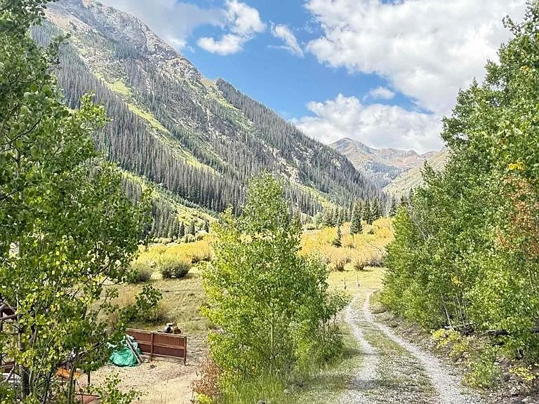 Approach road to Champion Lode through aspens, with peaks beyond