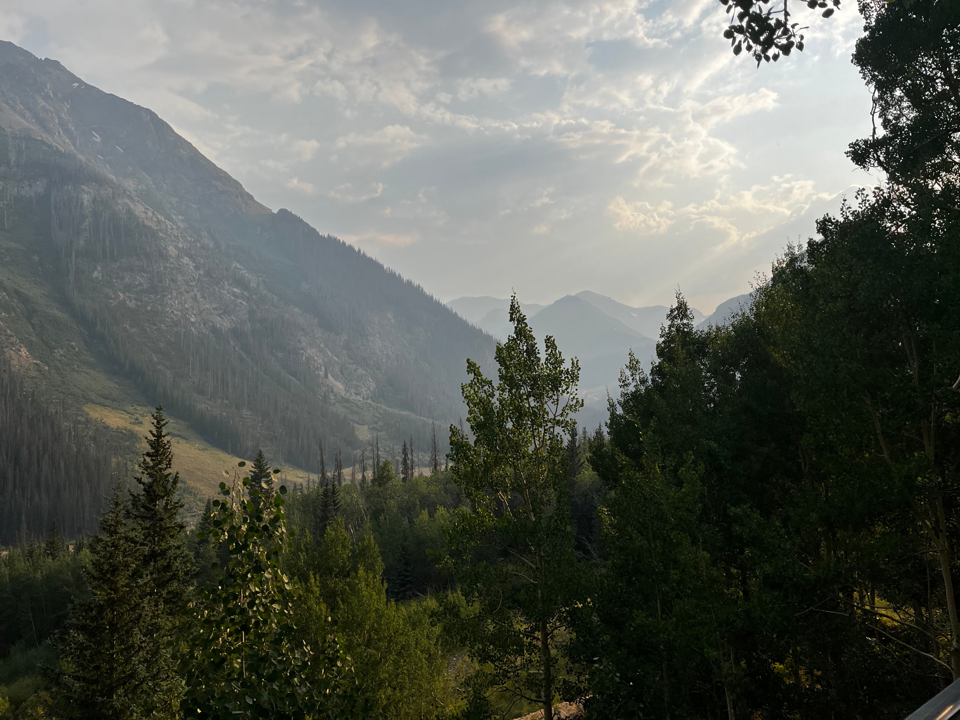 Evening light through the aspens with hazy ridgelines stretching into the distance