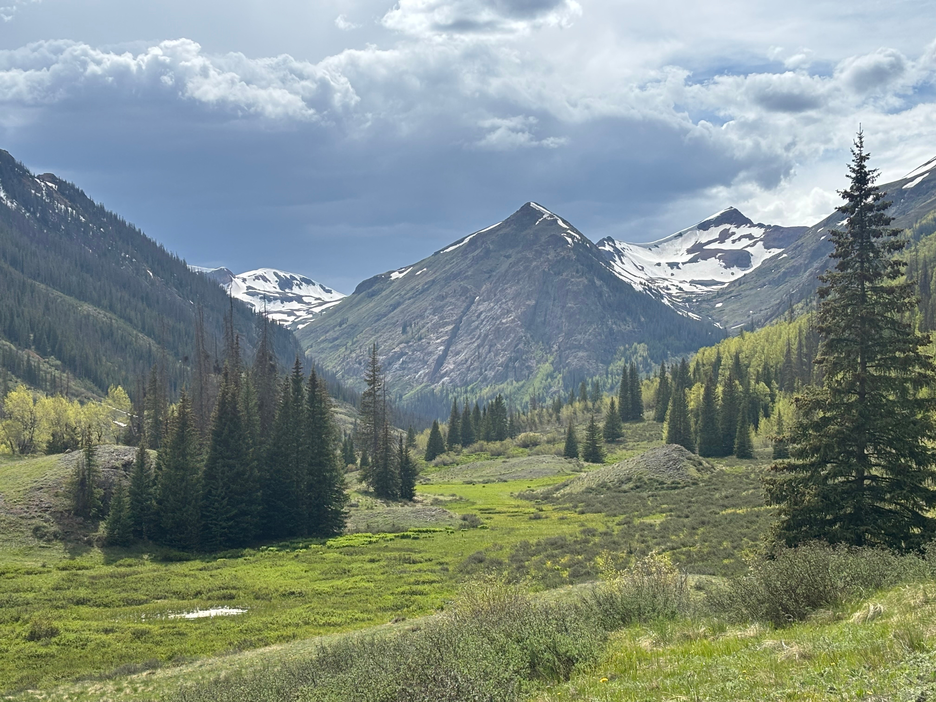 Summer view from Champion Lode looking down a green valley toward snow-capped peaks